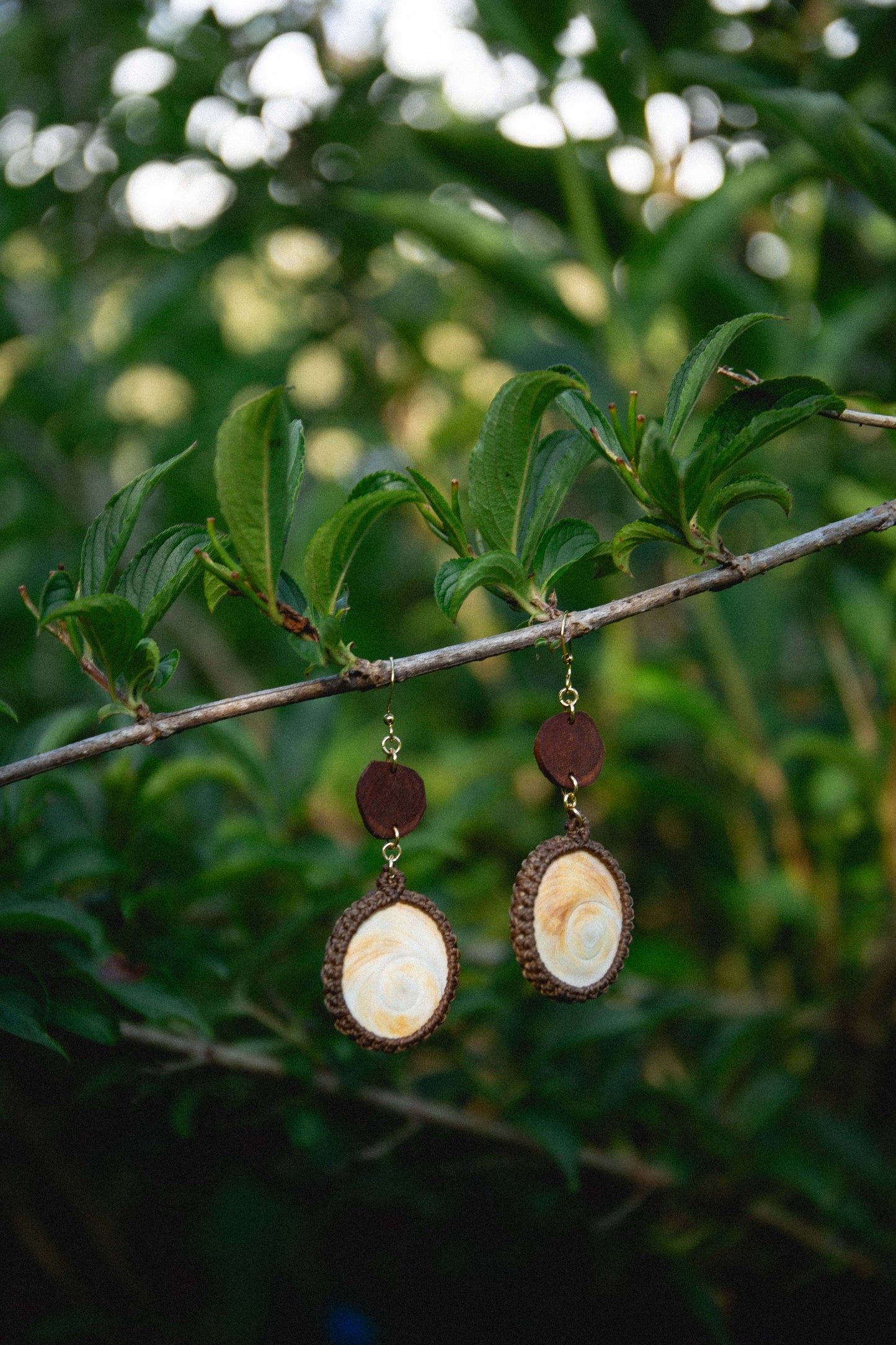 Gold plated eucalyptus slices and large shiva eye shells earrings