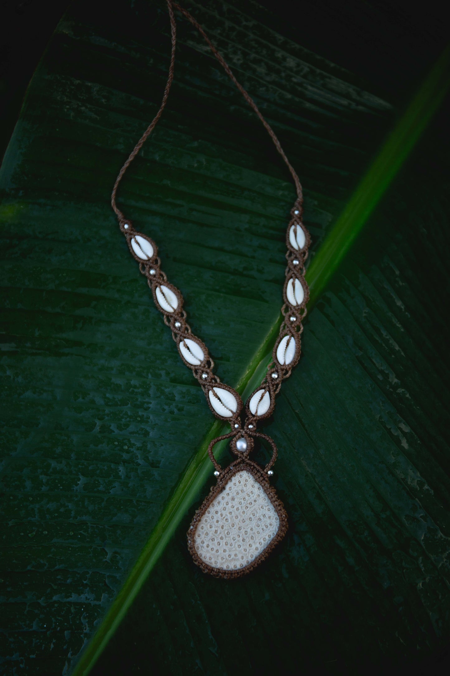Foraged fossil coral