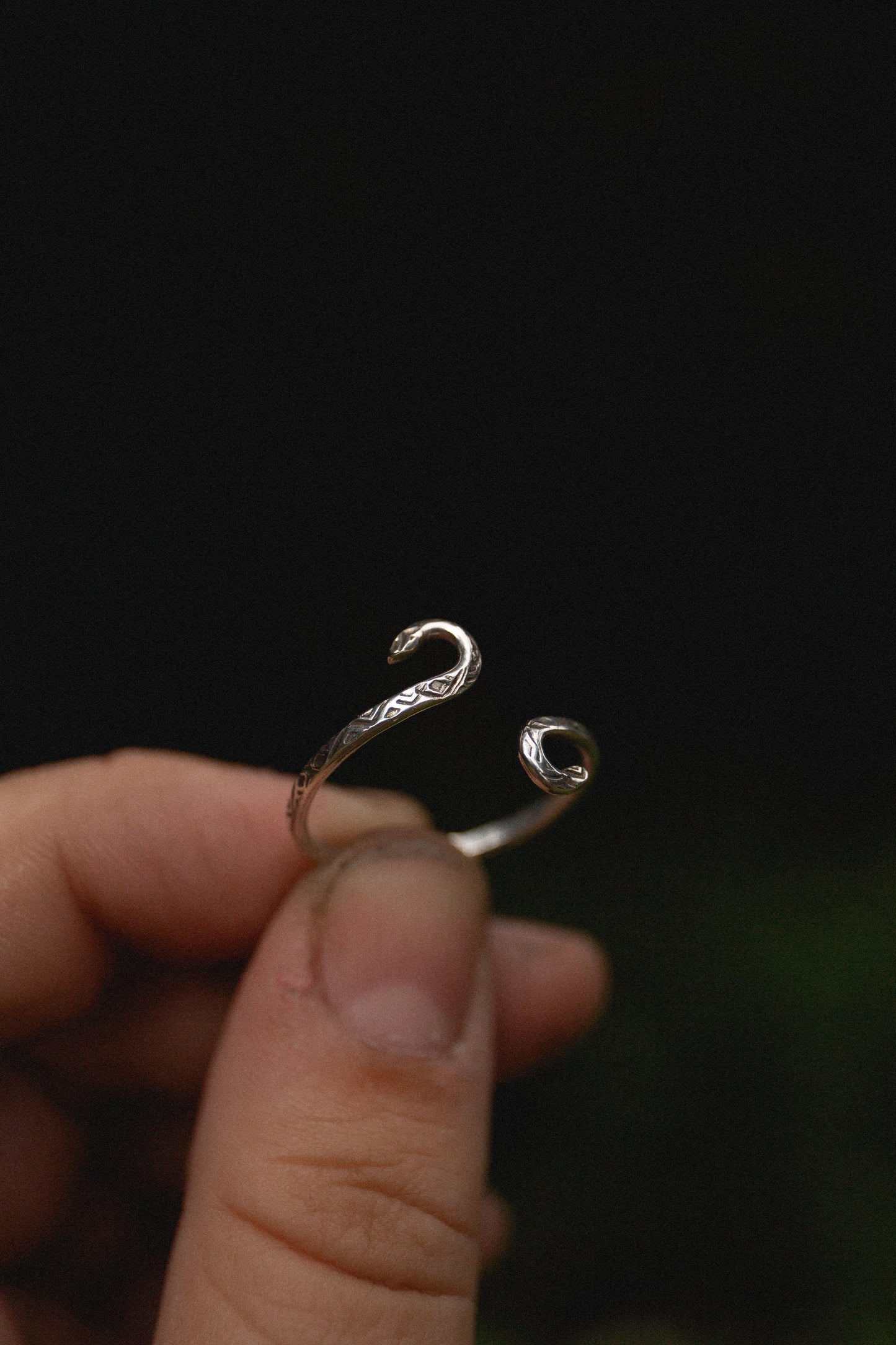 Serpent in silver