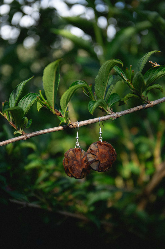 Banksia earrings sterling silver