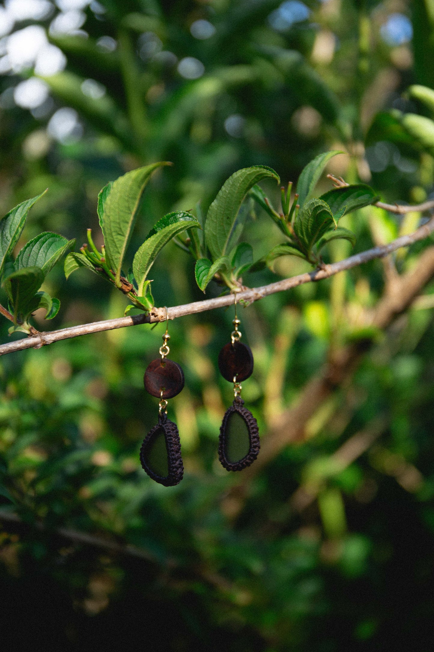 Gold plated sea glass and eucalyptus slices earrings