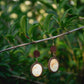 Gold plated eucalyptus slices and large shiva eye shells earrings