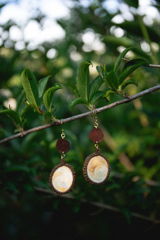 Gold plated eucalyptus slices and large shiva eye shells earrings