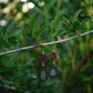 Gold plated sea glass and eucalyptus earrings