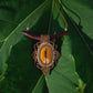 Mookaite and acacia adornment