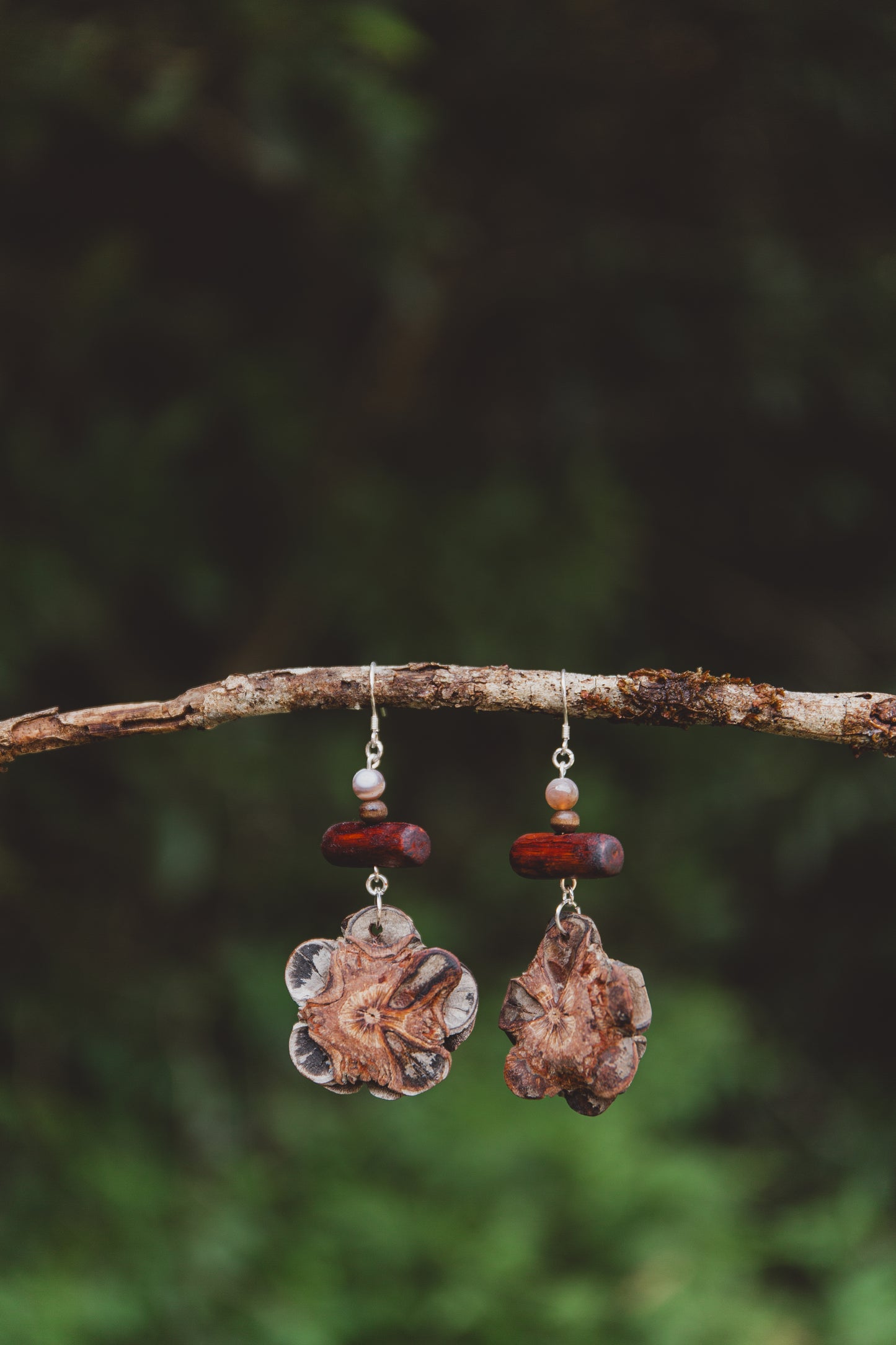 Eucalyptus and Banksia earrings