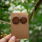 She-oak studs